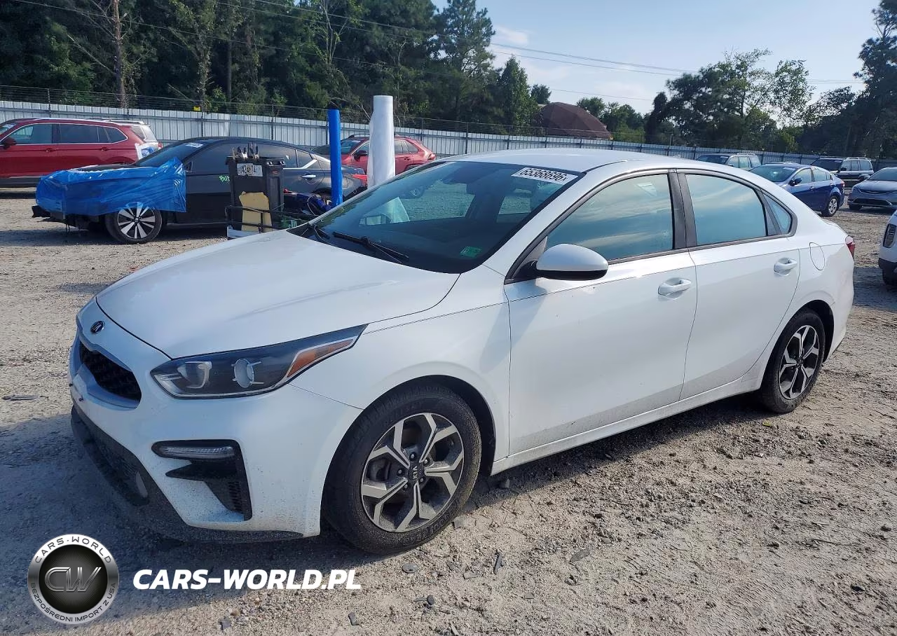 2019 Kia Forte Lxs