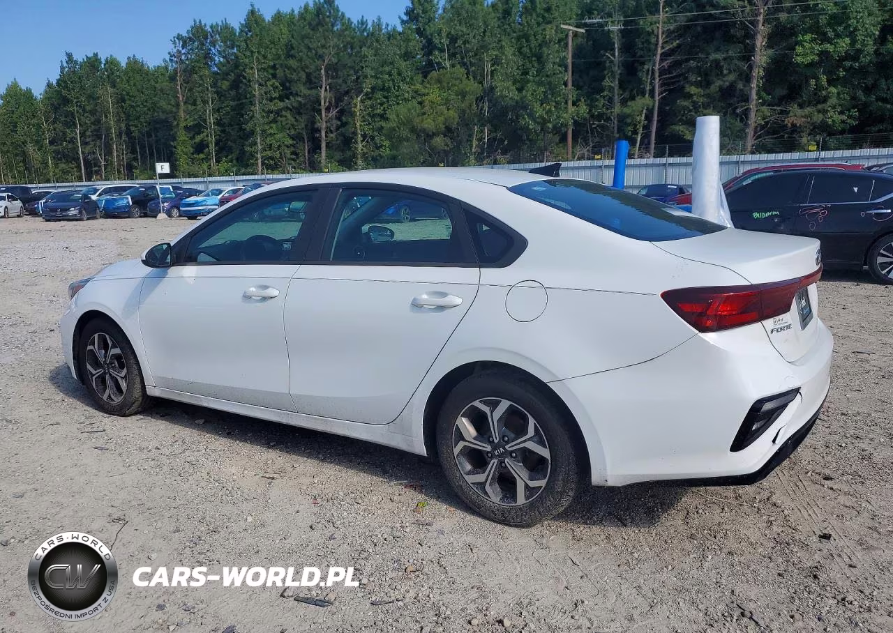 2019 Kia Forte Lxs VIN:3KPF24AD1KE007255 - 2
