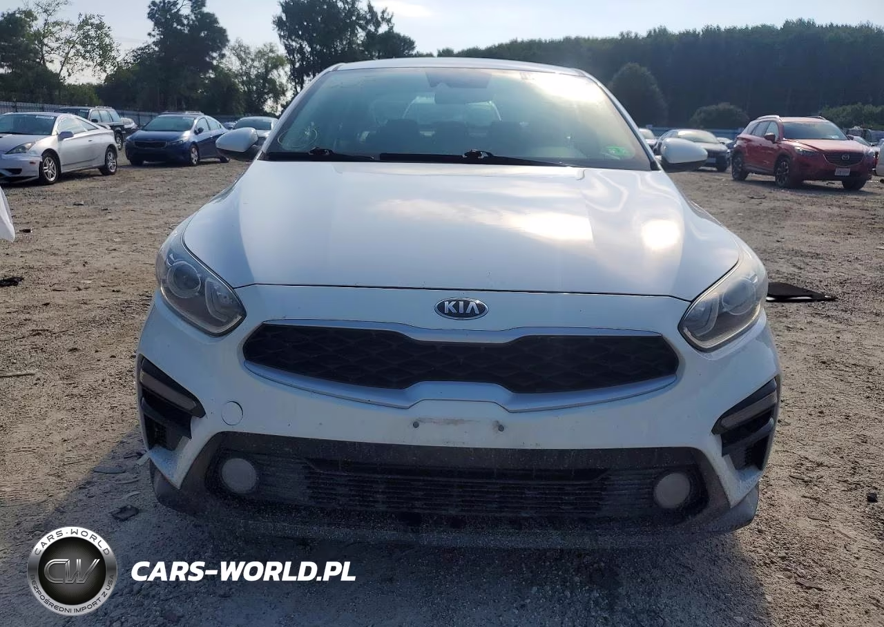 2019 Kia Forte Lxs VIN:3KPF24AD1KE007255 - 5