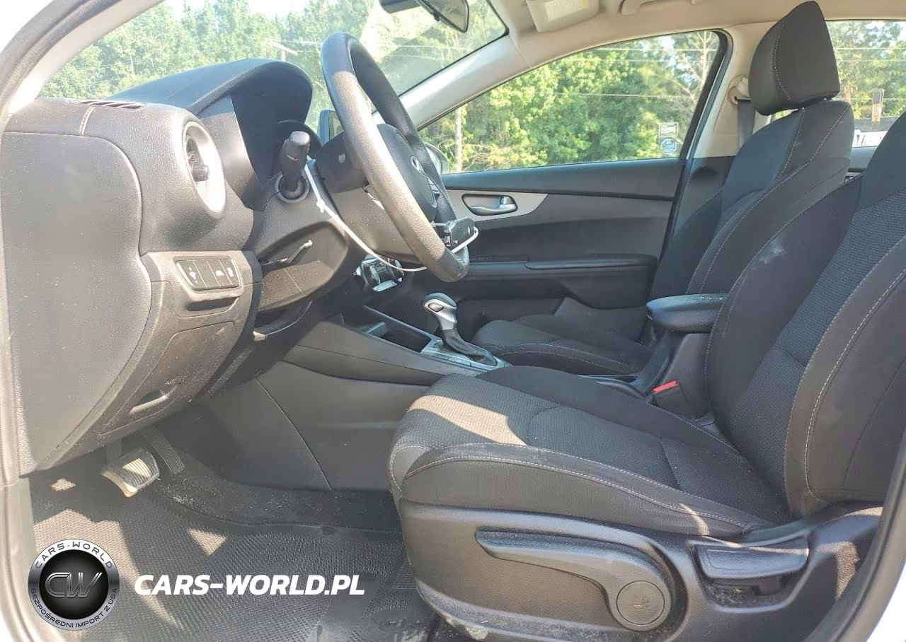2019 Kia Forte Lxs VIN:3KPF24AD1KE007255 - 7