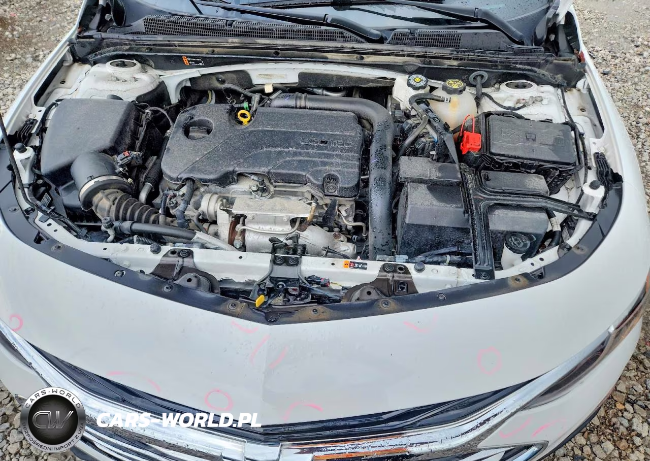 2023 Chevrolet Malibu Ls VIN:1G1ZC5ST4PF201158 - 11