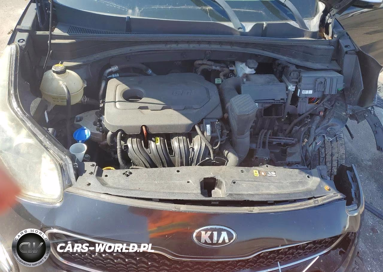 2017 Kia Sportage Ex VIN:KNDPN3AC2H7227767 - 11