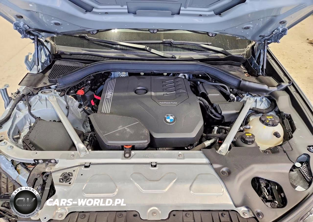 2023 BMW X3 Sdrive30I VIN:5UX43DP05P9P91085 - 12