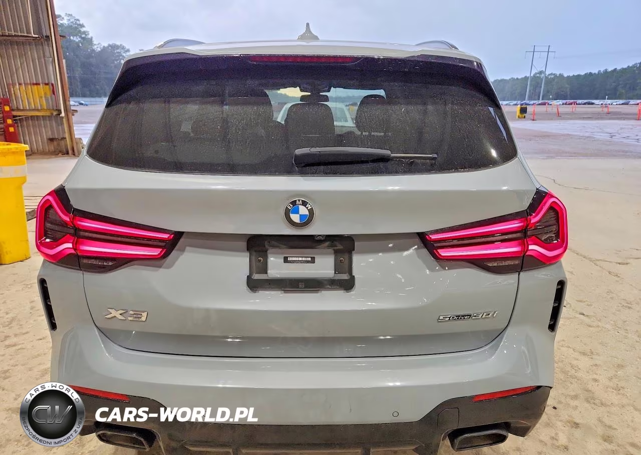2023 BMW X3 Sdrive30I VIN:5UX43DP05P9P91085 - 6