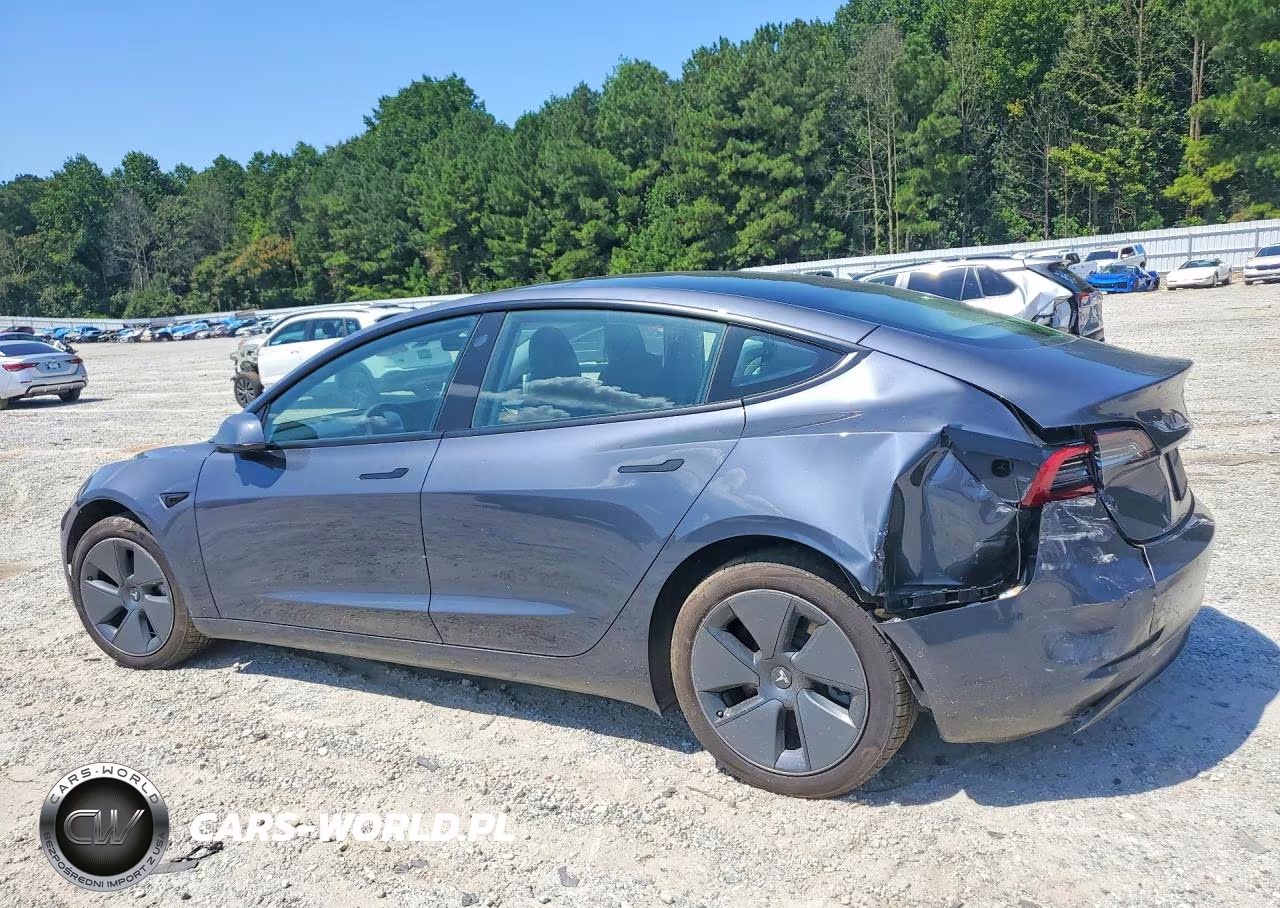 2022 Tesla Model 3 VIN:5YJ3E1EBXNF323818 - 2