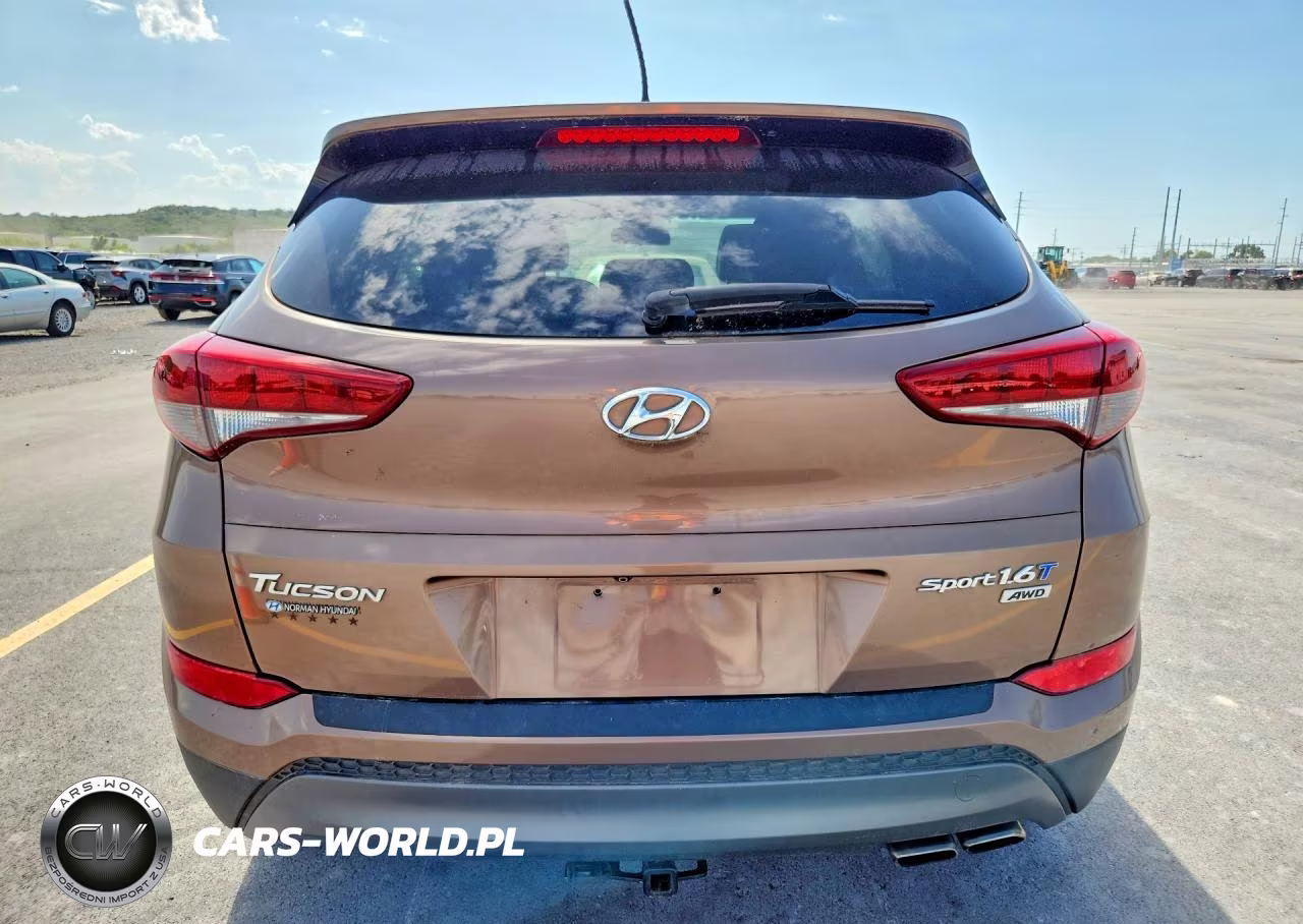 2016 Hyundai Tucson Sport VIN:KM8J3CA29GU112937 - 6