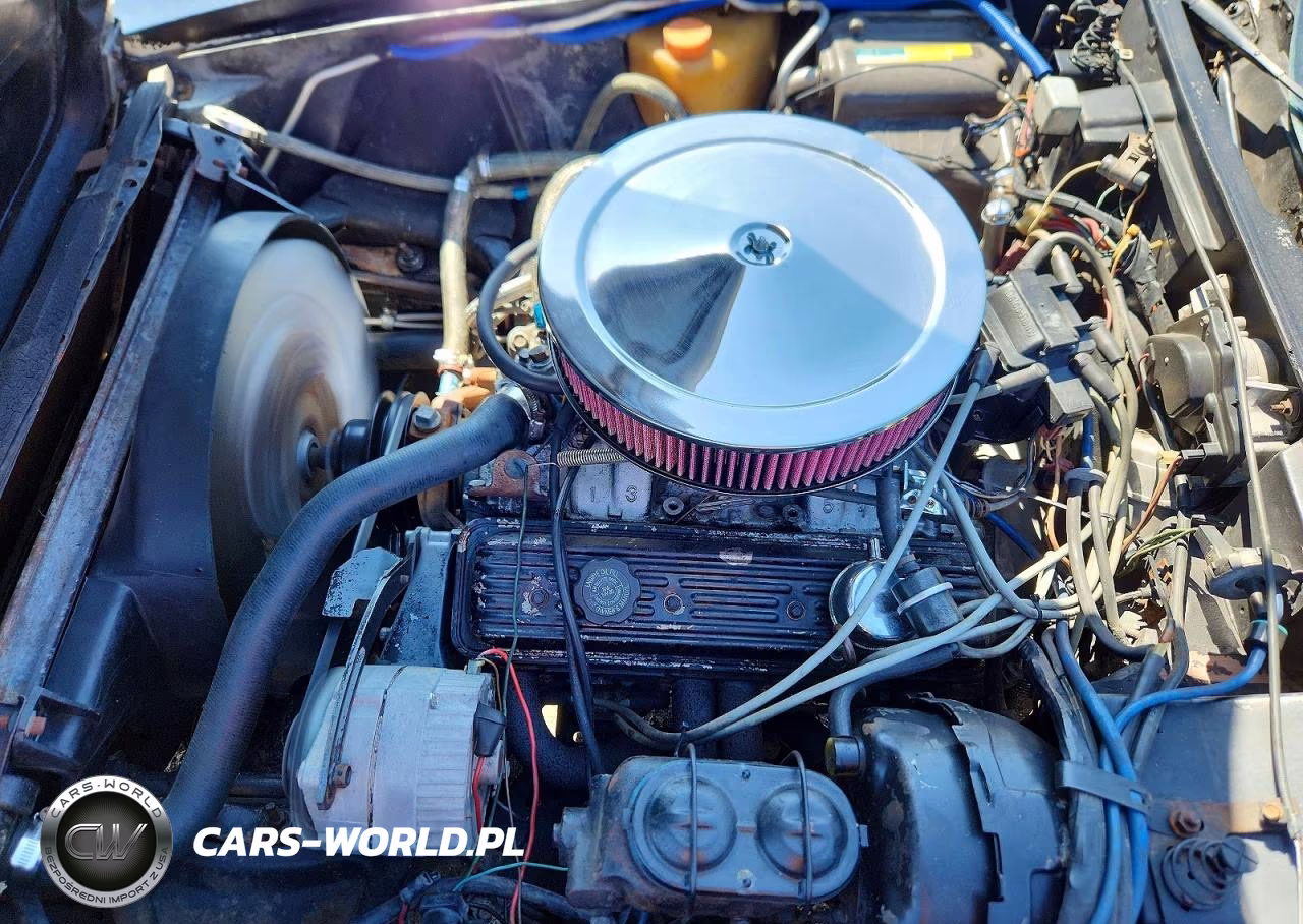 1980 Chevrolet Corvette VIN:1Z878AS433100 - 11