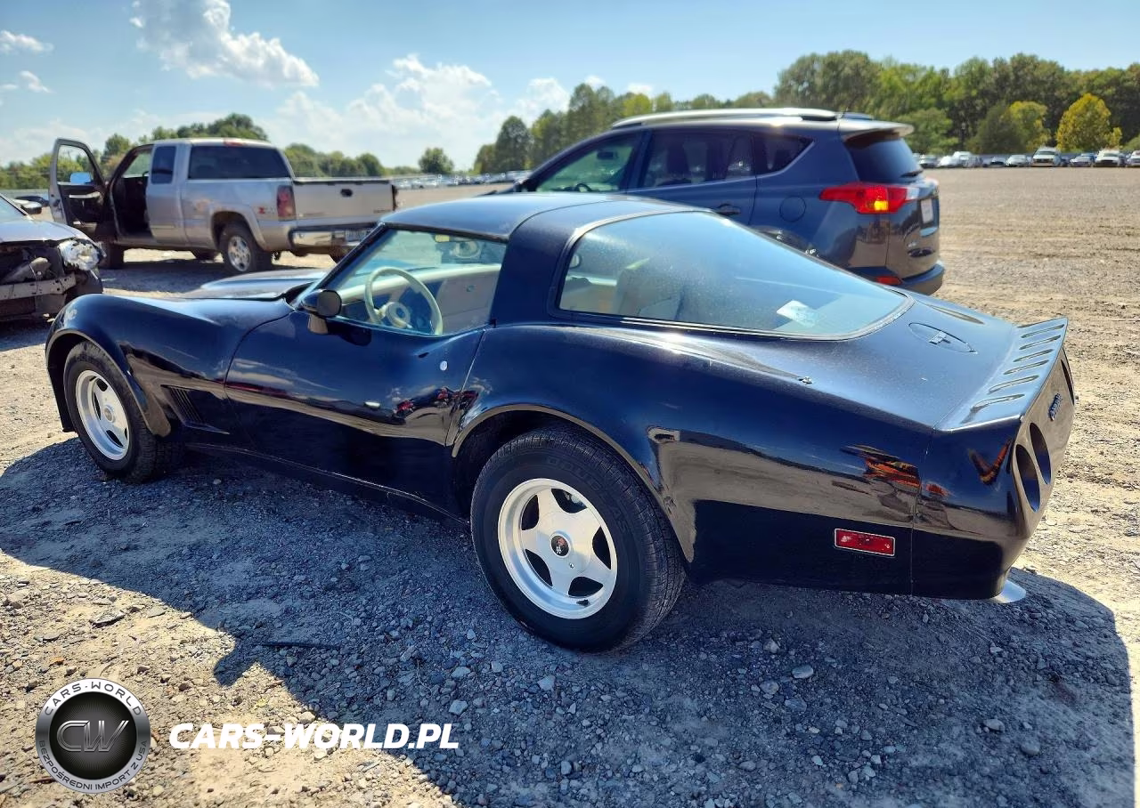 1980 Chevrolet Corvette VIN:1Z878AS433100 - 2