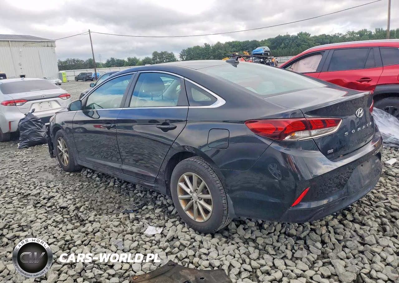 2019 Hyundai Sonata Se VIN:5NPE24AF0KH807568 - 2