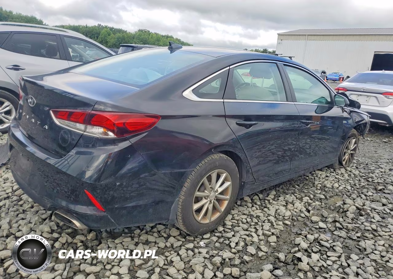 2019 Hyundai Sonata Se VIN:5NPE24AF0KH807568 - 3