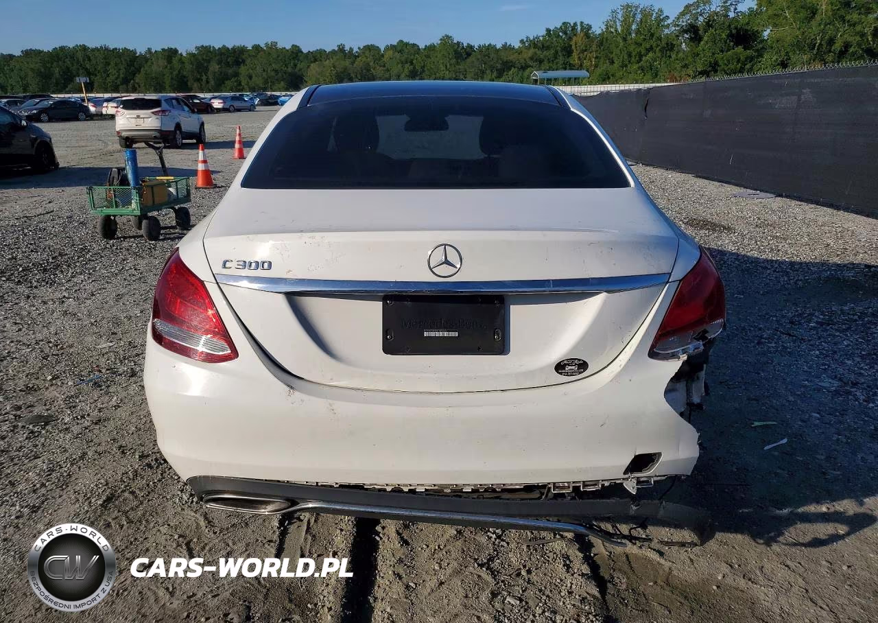 2016 Mercedes-Benz C 300 VIN:55SWF4JB5GU143245 - 6