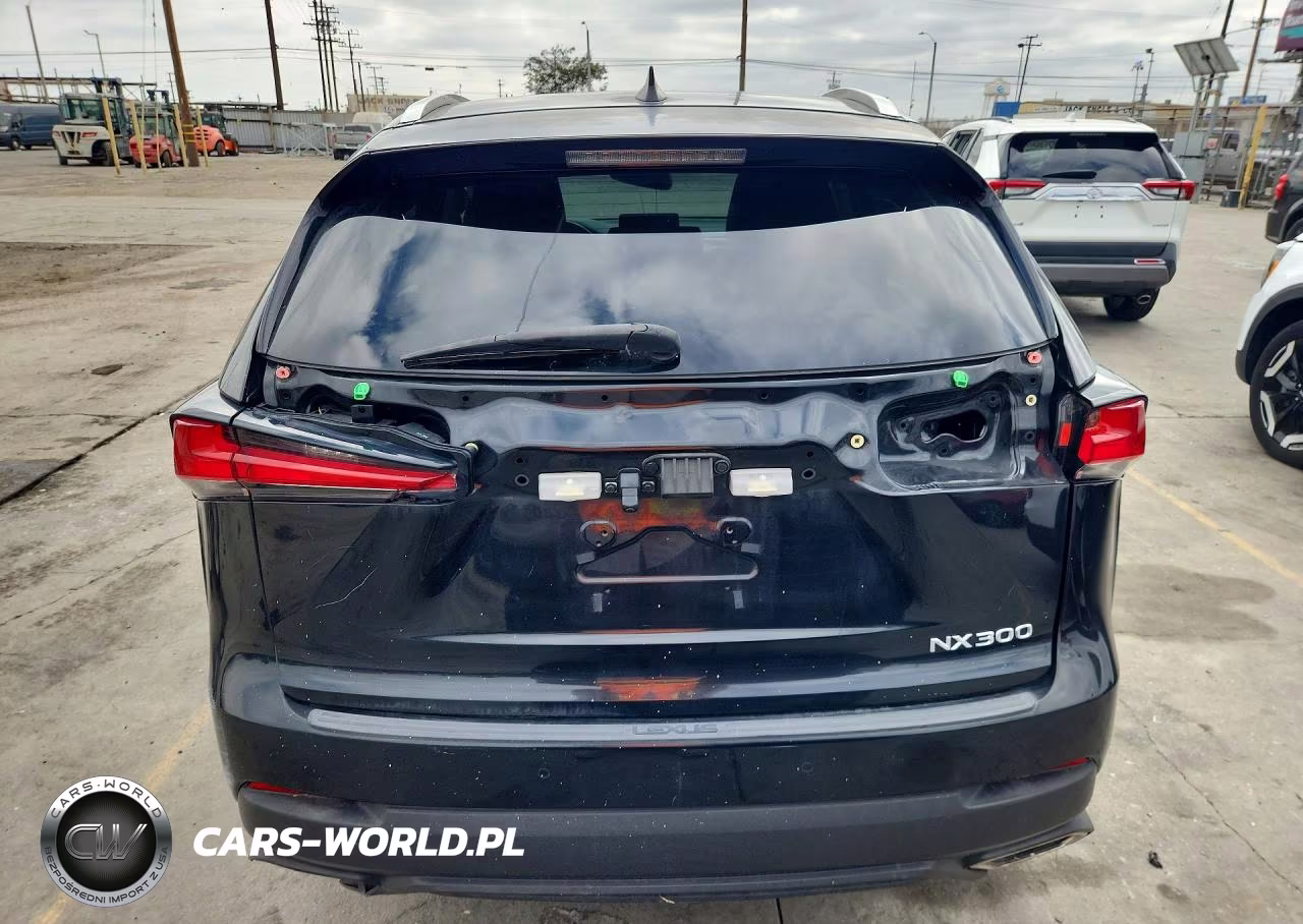 2018 Lexus Nx 300 Base VIN:JTJYARBZ4J2112173 - 6