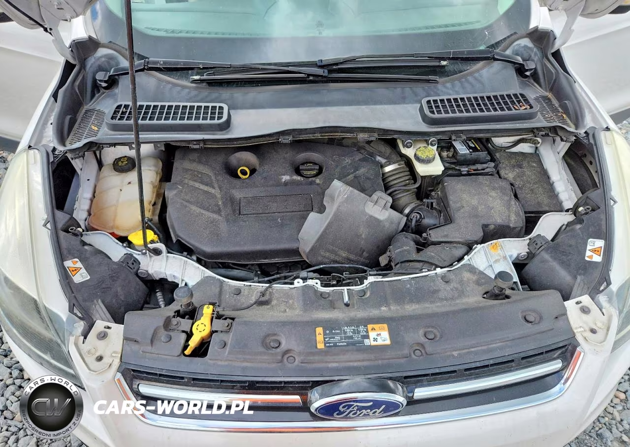 2014 Ford Escape Titanium VIN:1FMCU0J96EUE22073 - 11