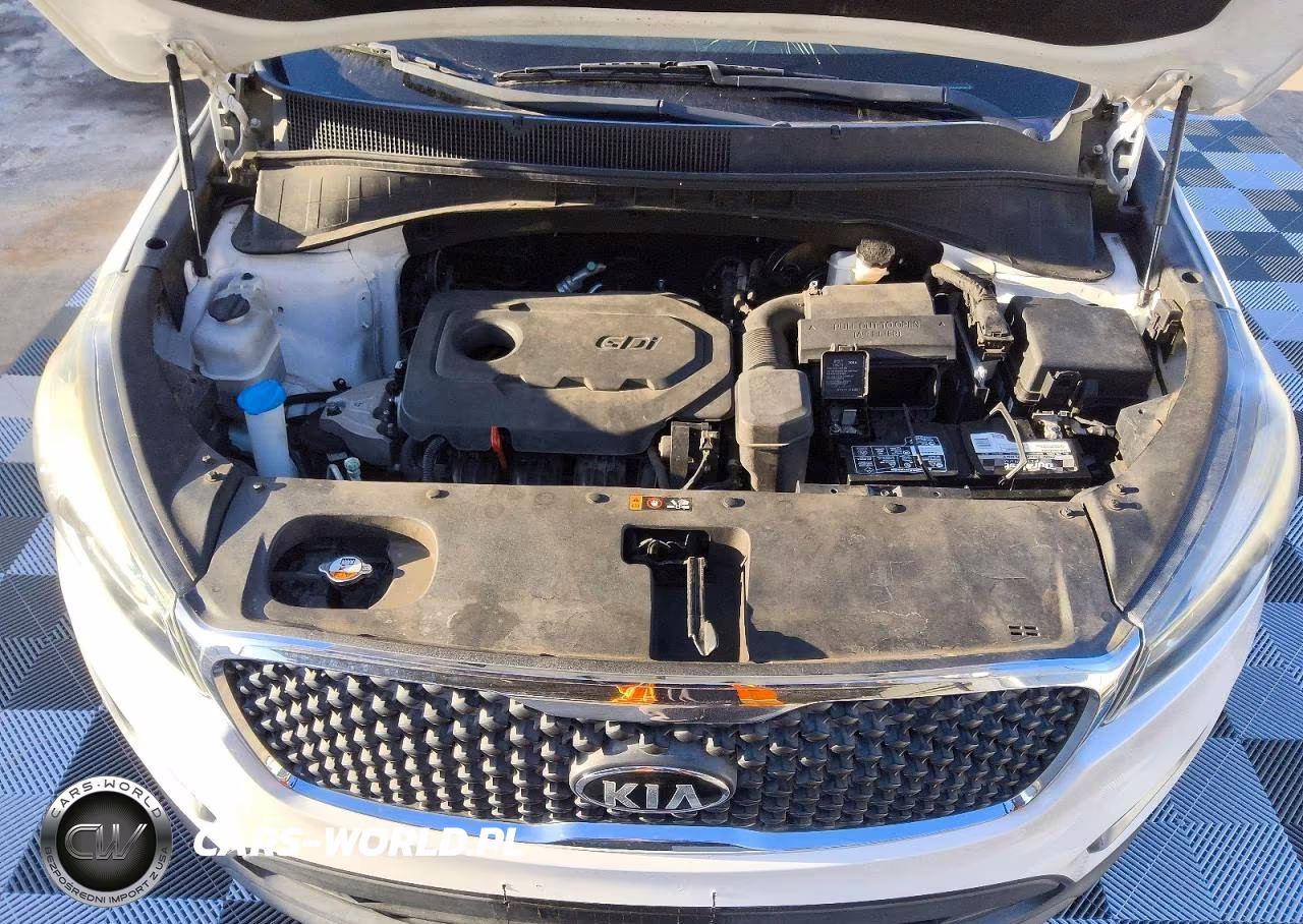 2017 Kia Sorento Lx VIN:5XYPG4A32HG296784 - 12