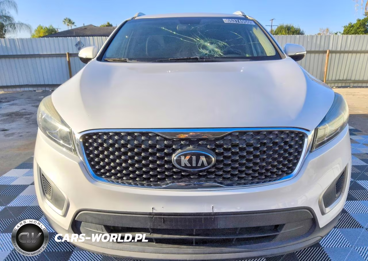 2017 Kia Sorento Lx VIN:5XYPG4A32HG296784 - 5