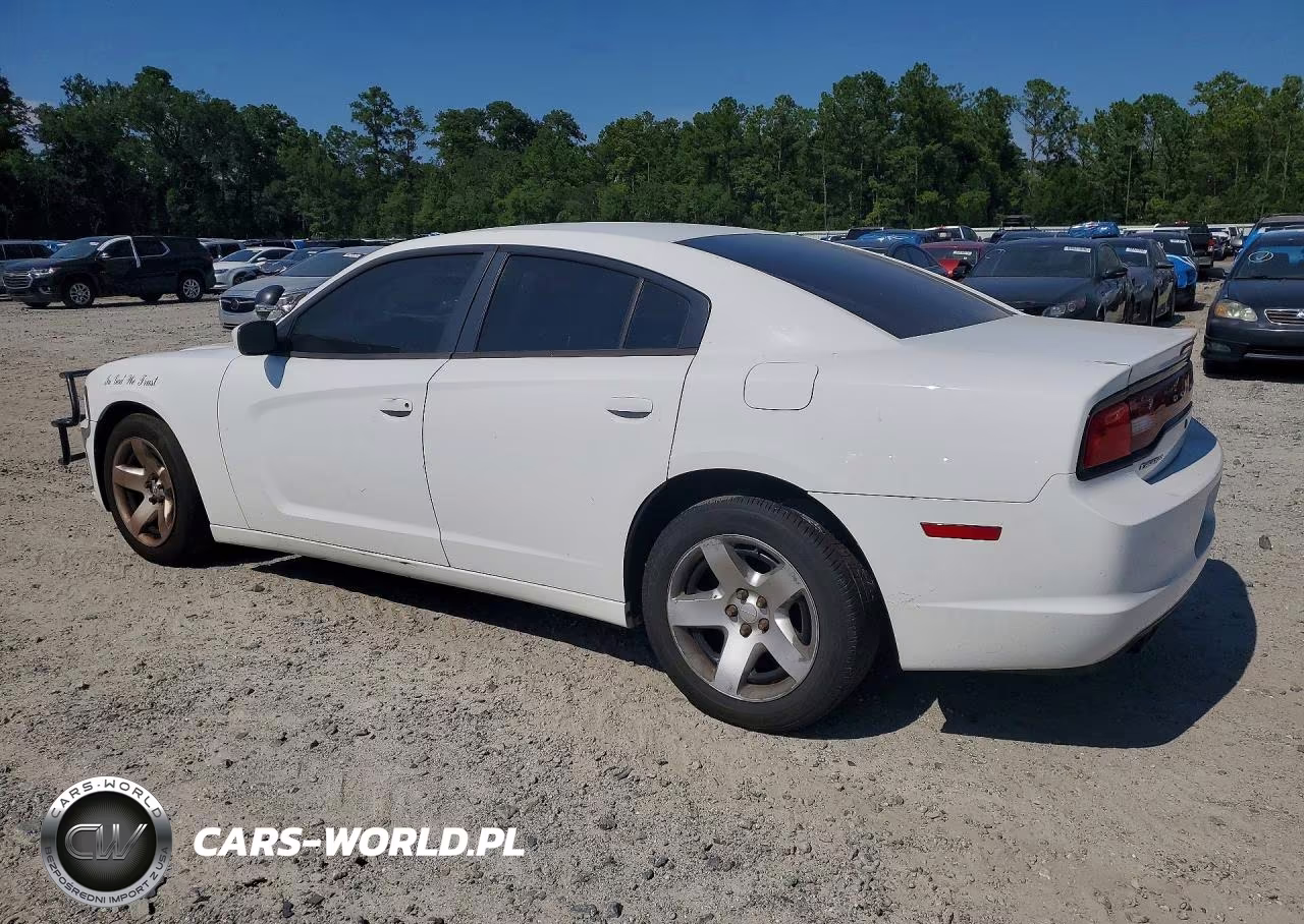 2014 Dodge Charger Police VIN:2C3CDXAT2EH348697 - 2
