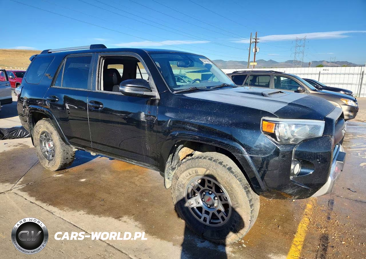 2017 Toyota 4Runner Trd Off-Road Premium VIN:JTEBU5JR2H5409795 - 4