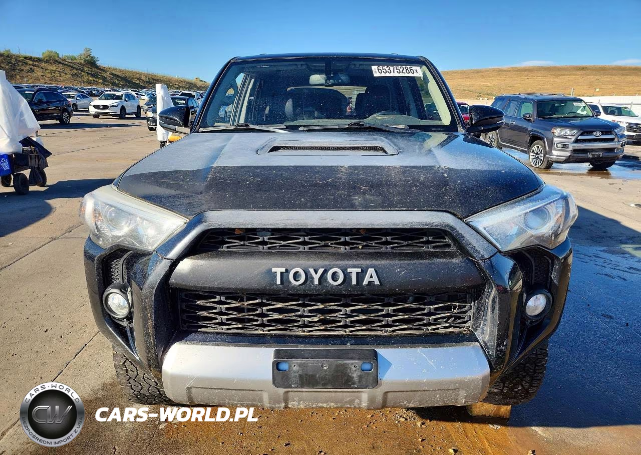 2017 Toyota 4Runner Trd Off-Road Premium VIN:JTEBU5JR2H5409795 - 5