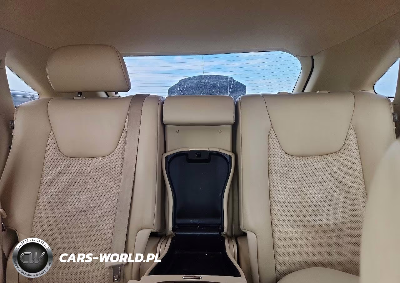2011 Lexus Rx 350 VIN:JTJZK1BA3B2004920 - 10