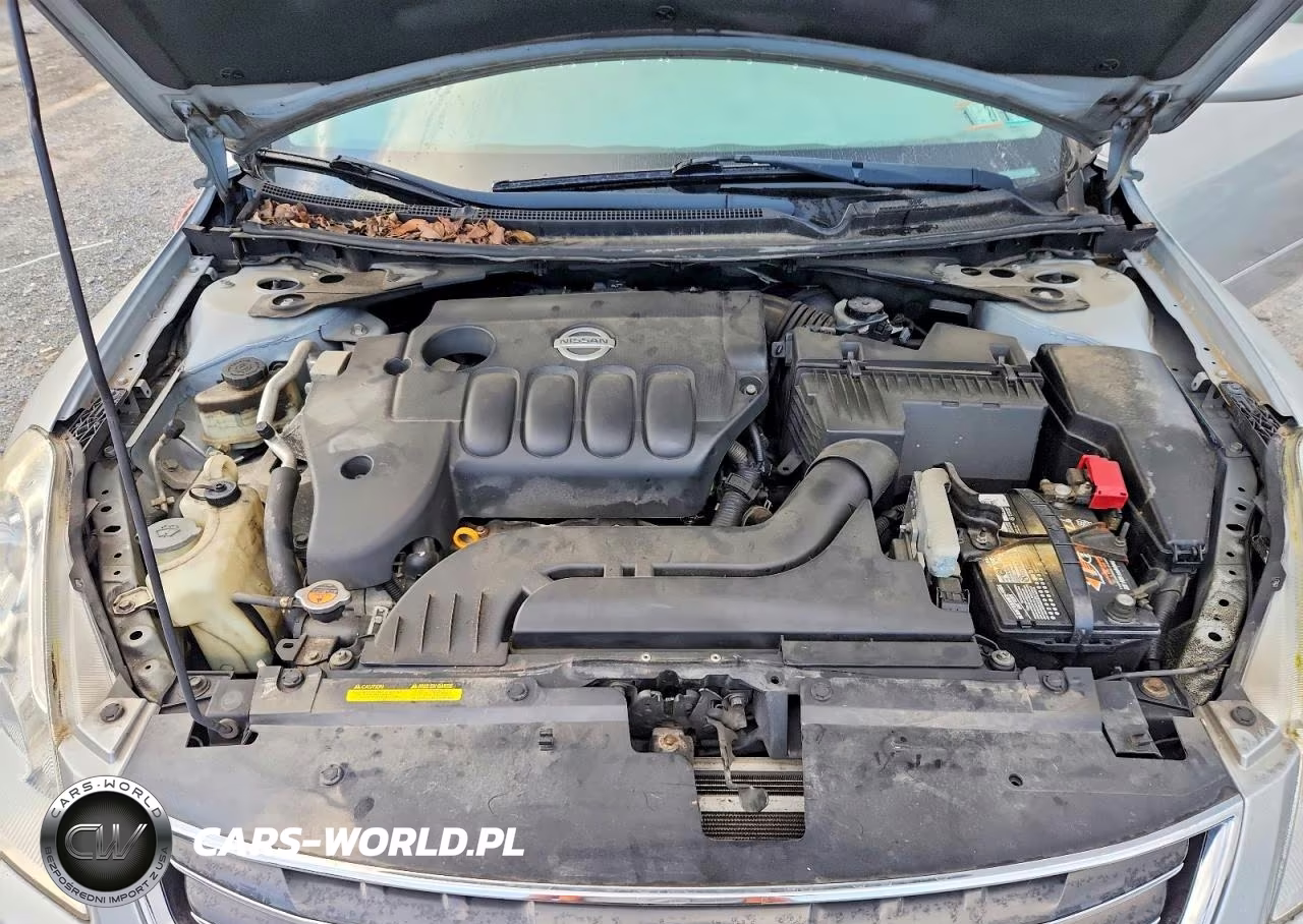 2010 Nissan Altima 2.5 VIN:1N4AL2AP7AC174351 - 11