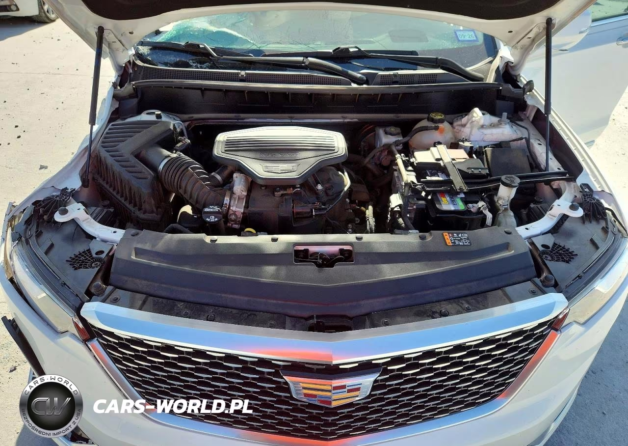 2020 Cadillac Xt6 Premium Luxury VIN:1GYKPCRSXLZ208858 - 12