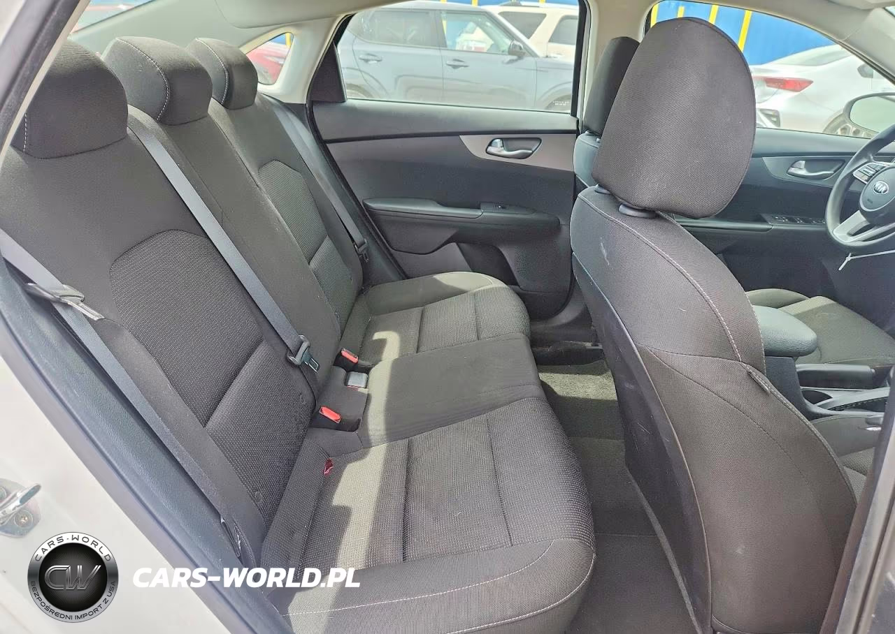 2019 Kia Forte Fe VIN:3KPF24AD0KE012379 - 10