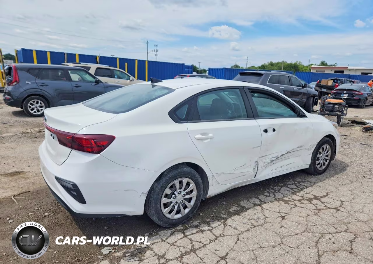 2019 Kia Forte Fe VIN:3KPF24AD0KE012379 - 3