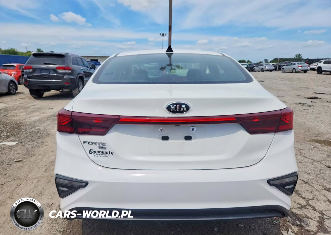 2019 Kia Forte Fe VIN:3KPF24AD0KE012379 - 6