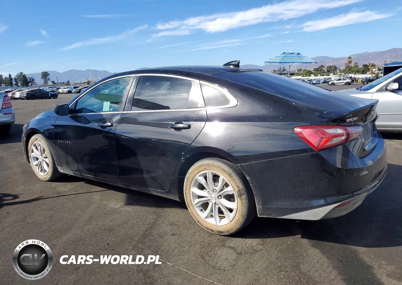 2019 Chevrolet Malibu Lt VIN:1G1ZD5ST5KF176874 - 2