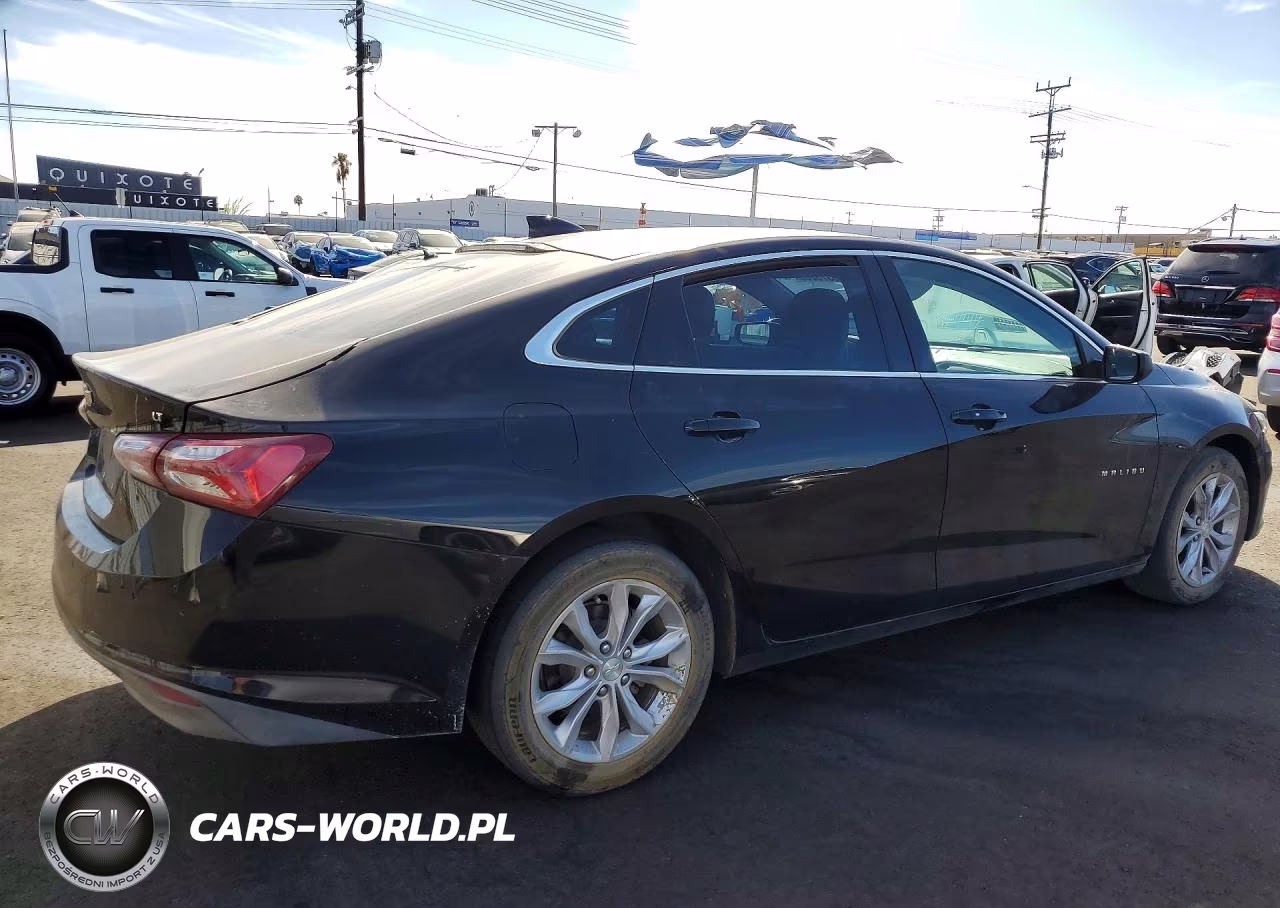 2019 Chevrolet Malibu Lt VIN:1G1ZD5ST5KF176874 - 3