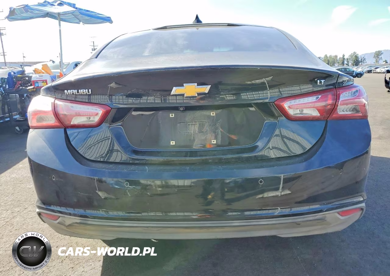 2019 Chevrolet Malibu Lt VIN:1G1ZD5ST5KF176874 - 6