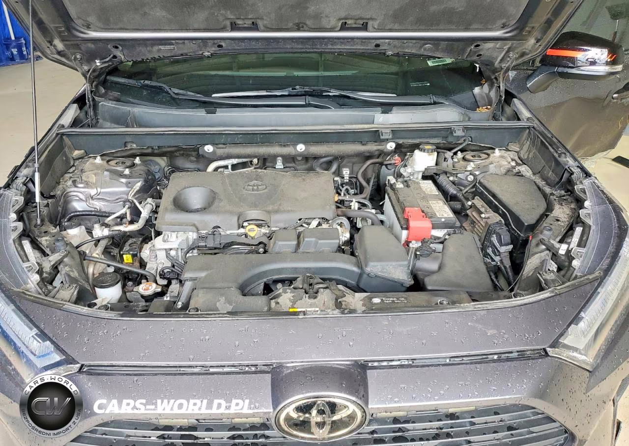2024 Toyota Rav4 Xle VIN:2T3W1RFV5RW305355 - 12