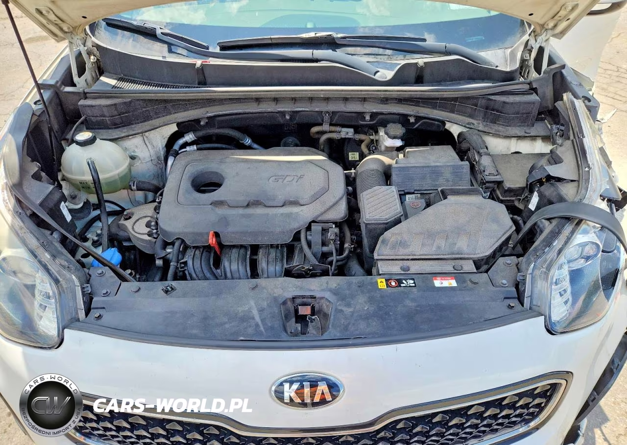 2019 Kia Sportage Ex VIN:KNDPNCAC9K7582197 - 12