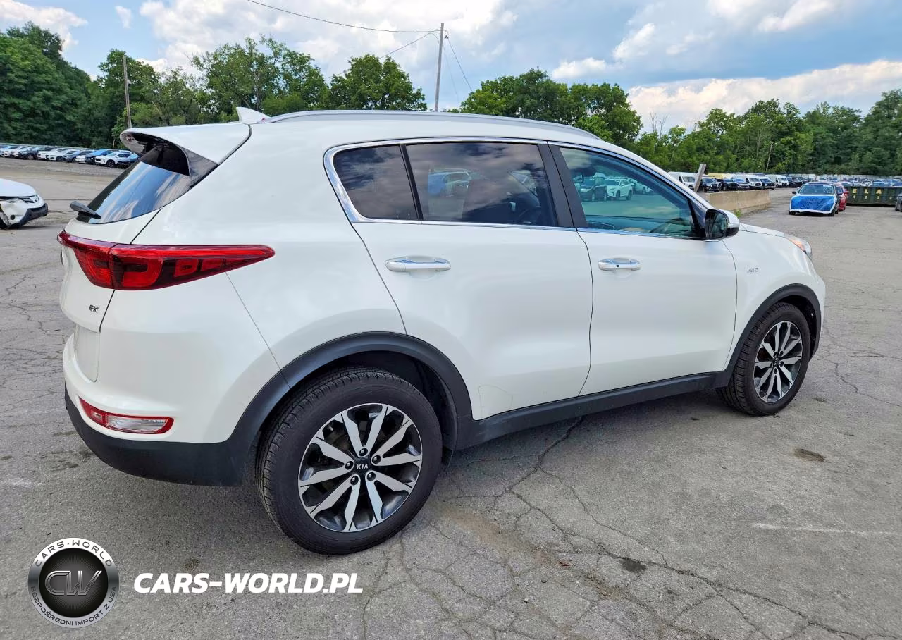 2019 Kia Sportage Ex VIN:KNDPNCAC9K7582197 - 3