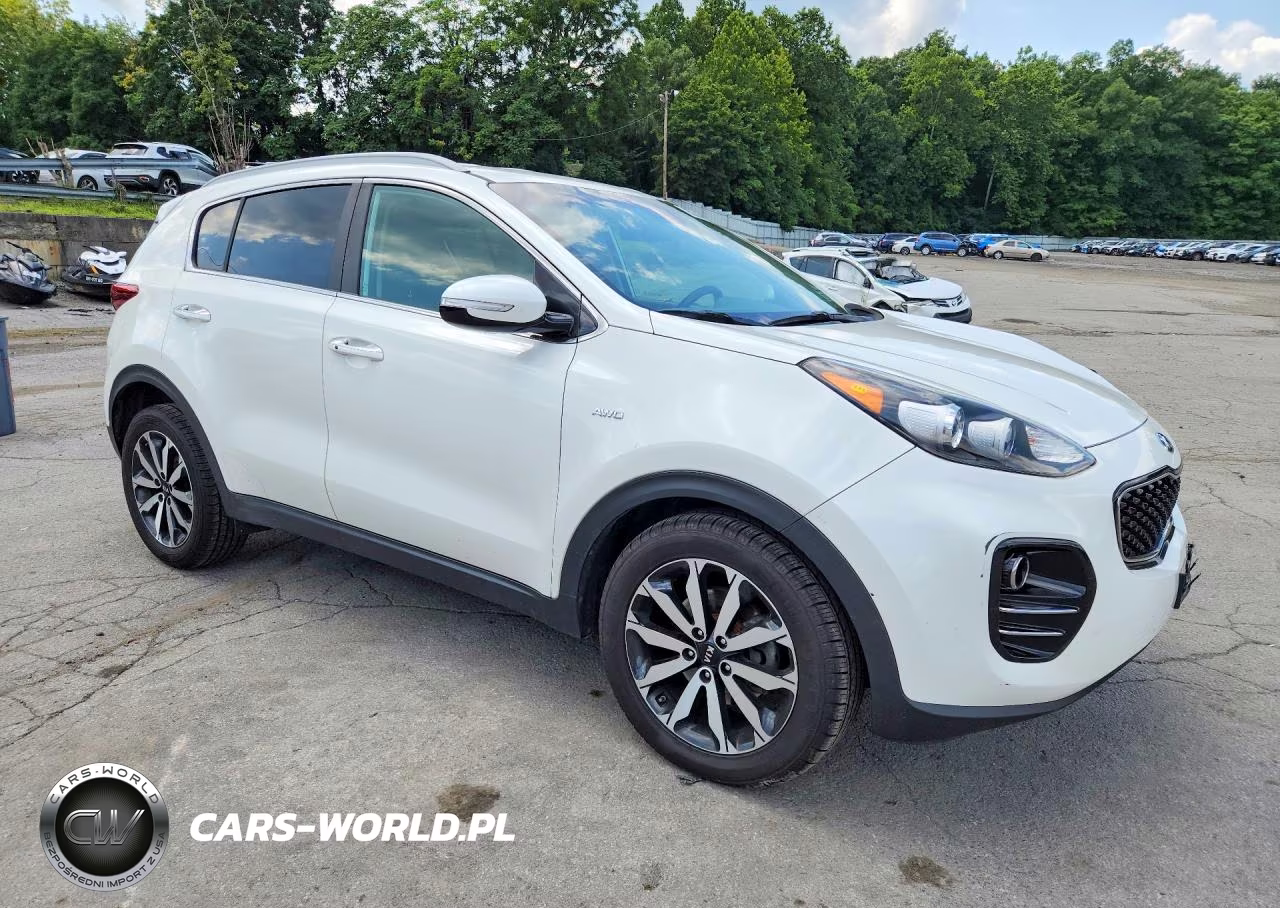 2019 Kia Sportage Ex VIN:KNDPNCAC9K7582197 - 4