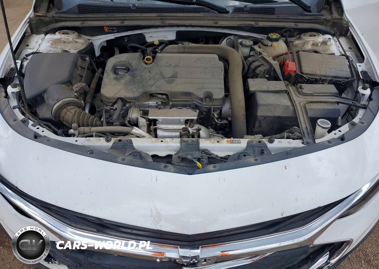 2019 Chevrolet Malibu Lt VIN:1G1ZD5ST9KF149502 - 11