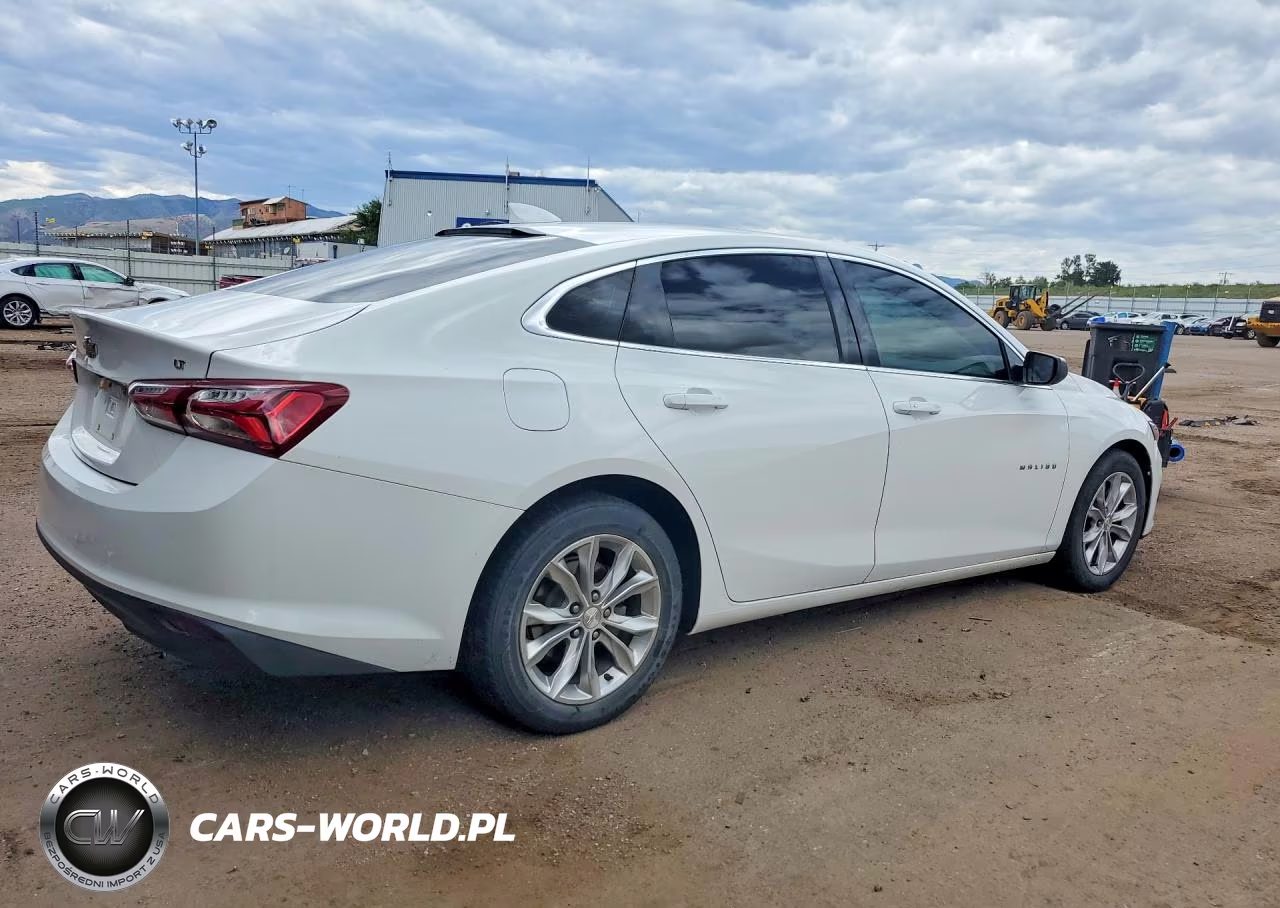 2019 Chevrolet Malibu Lt VIN:1G1ZD5ST9KF149502 - 3