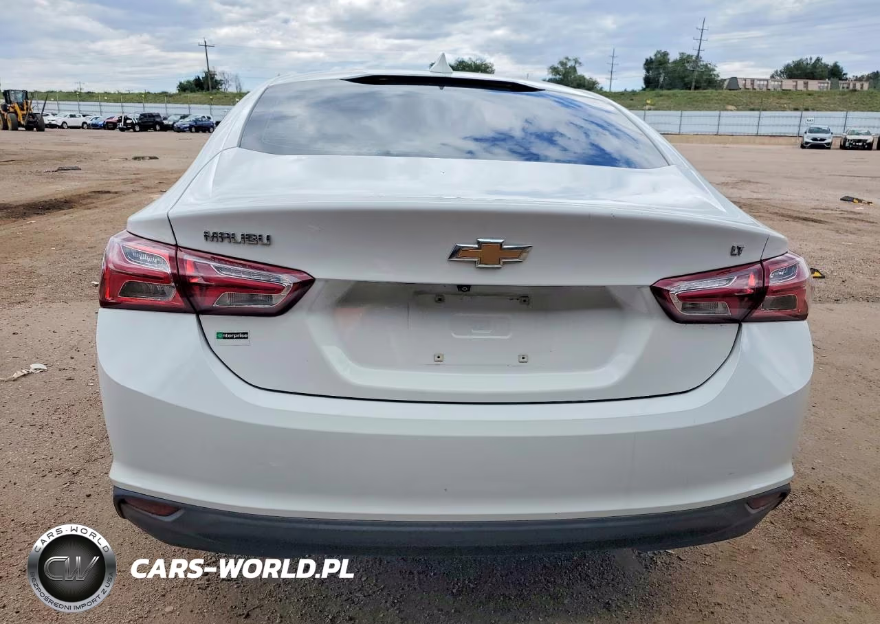 2019 Chevrolet Malibu Lt VIN:1G1ZD5ST9KF149502 - 6