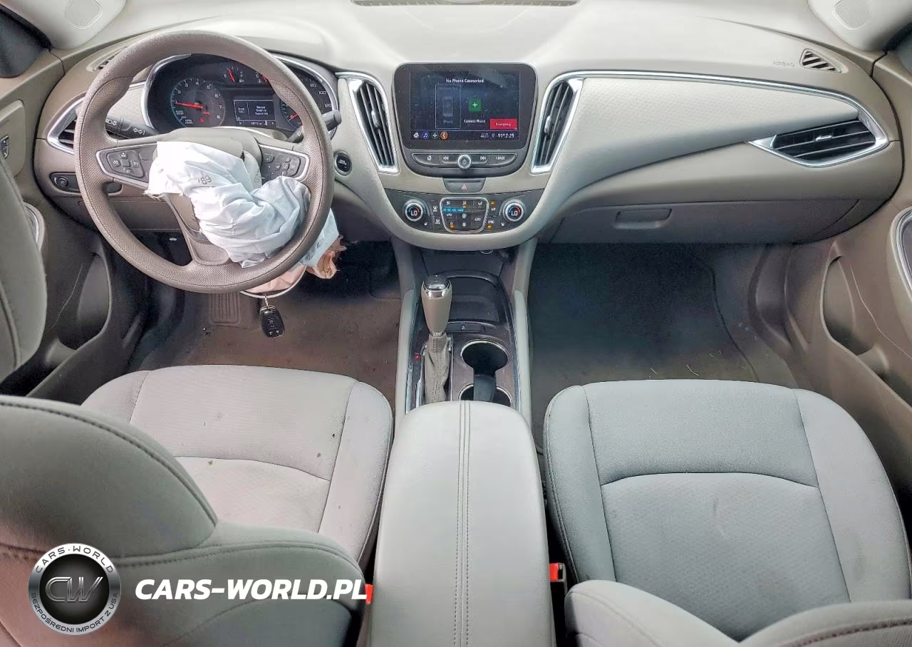 2019 Chevrolet Malibu Lt VIN:1G1ZD5ST9KF149502 - 8