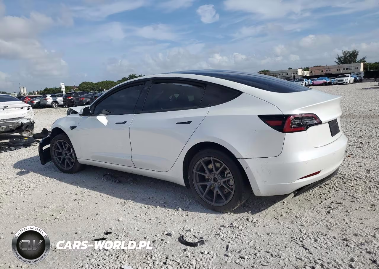 2020 Tesla Model 3 VIN:5YJ3E1EA7LF504444 - 2