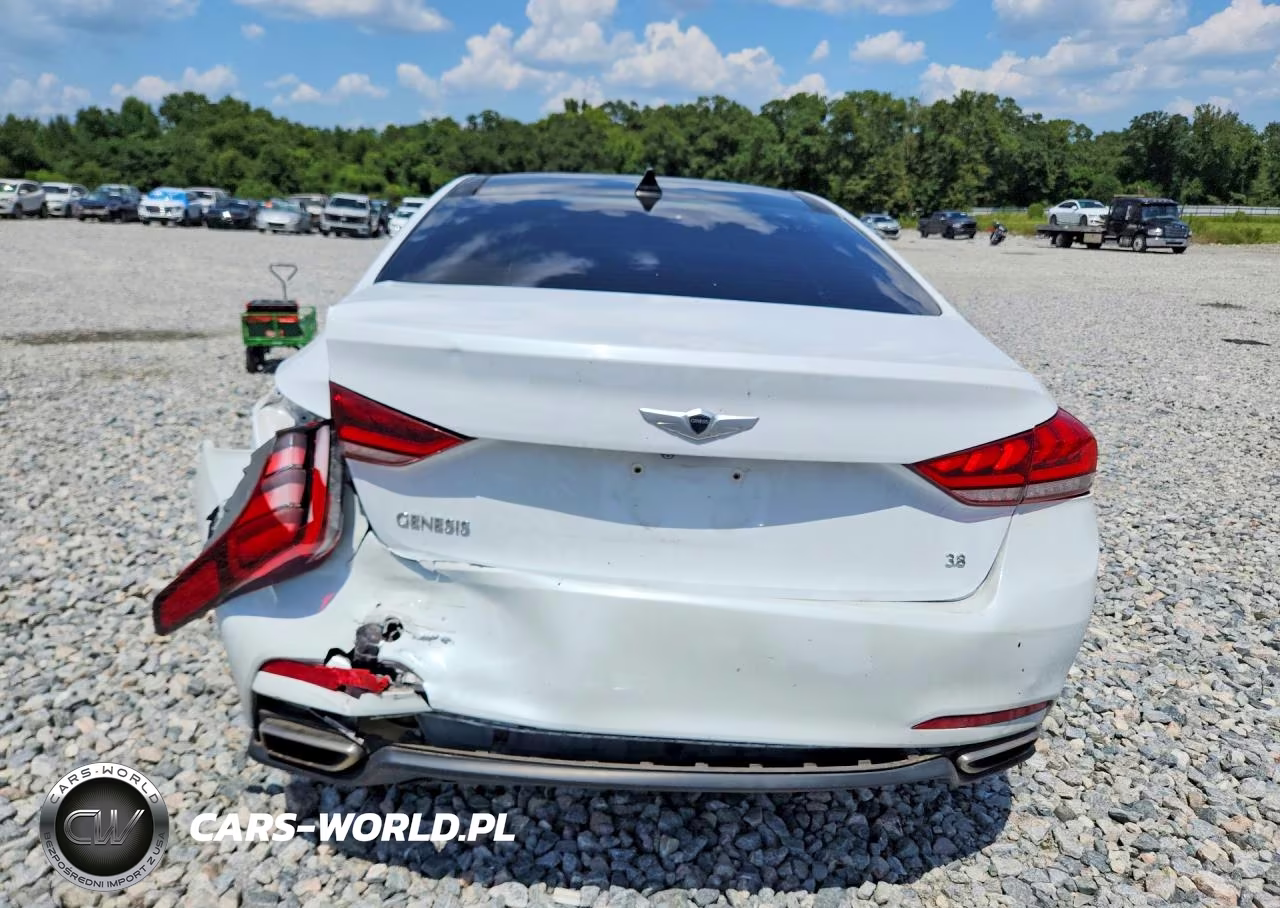 2015 Hyundai Genesis 3.8L VIN:KMHGN4JE4FU103727 - 6
