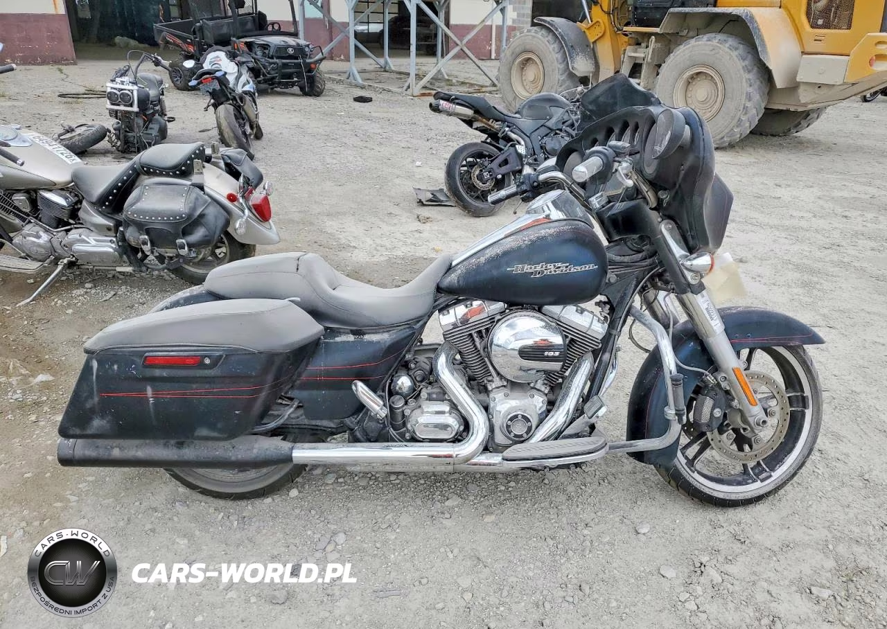 2015 Harley-Davidson Flhxs Street Glide Special – zdjęcie 1 z 9