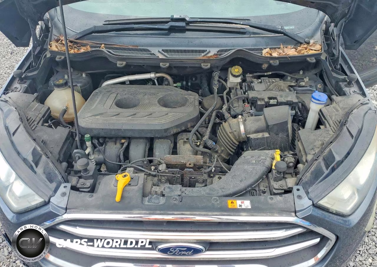 2020 Ford Ecosport Titanium VIN:MAJ6S3KL8LC345718 - 12