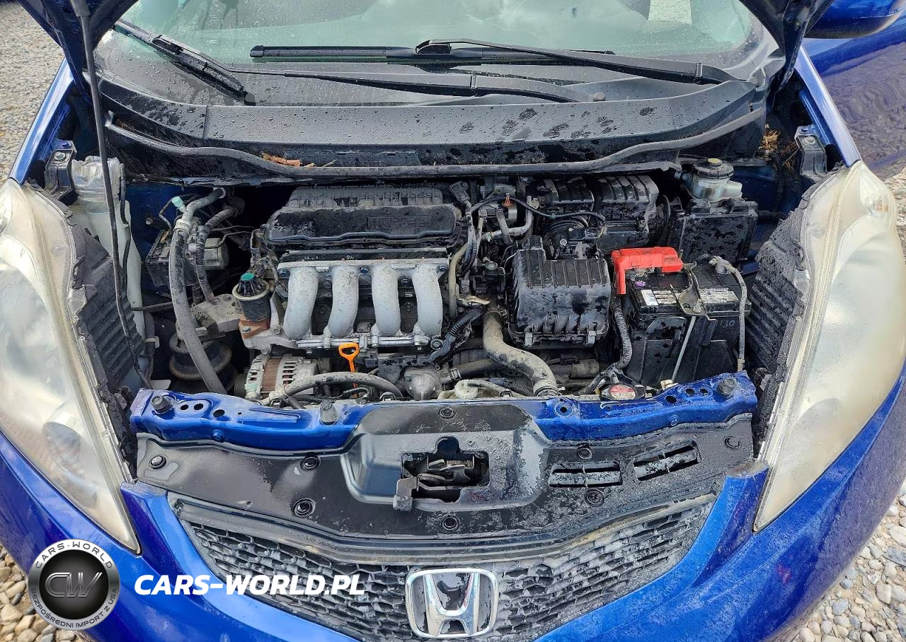 2010 Honda Fit Sport VIN:JHMGE8H41AS005301 - 11