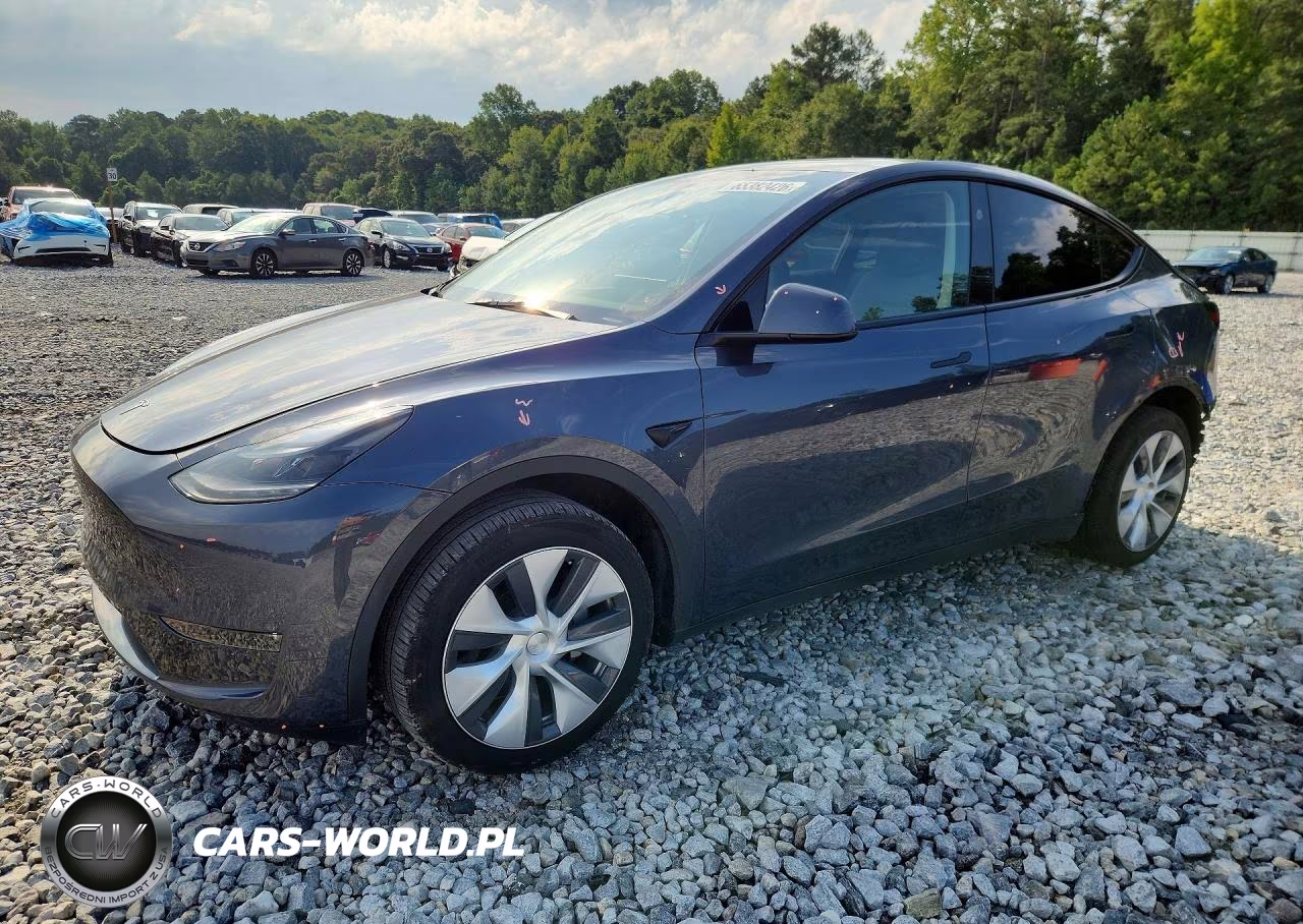 2023 Tesla Model Y VIN:7SAYGDEE6PA211659 - 1