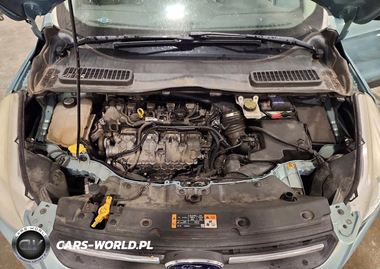 2013 Ford Escape Se VIN:1FMCU0G93DUD56619 - 12