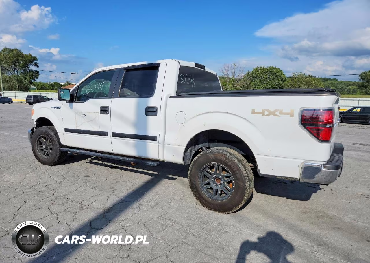 2013 Ford F-150 Xlt VIN:1FTFW1EF6DKE94032 - 2