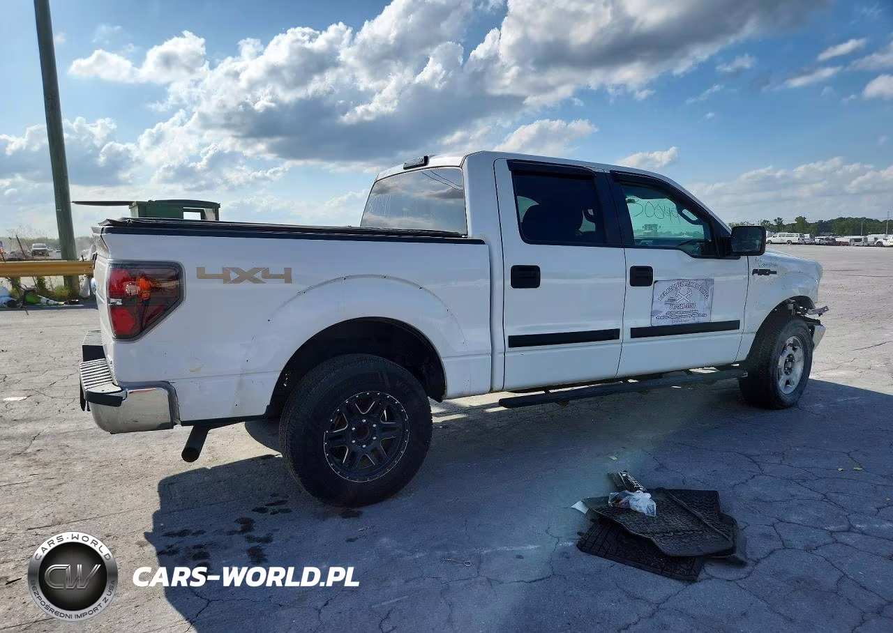 2013 Ford F-150 Xlt VIN:1FTFW1EF6DKE94032 - 3