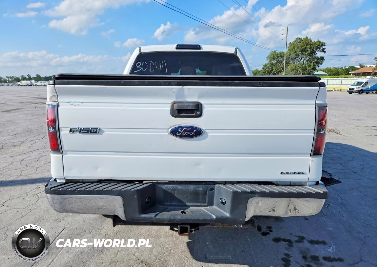 2013 Ford F-150 Xlt VIN:1FTFW1EF6DKE94032 - 6