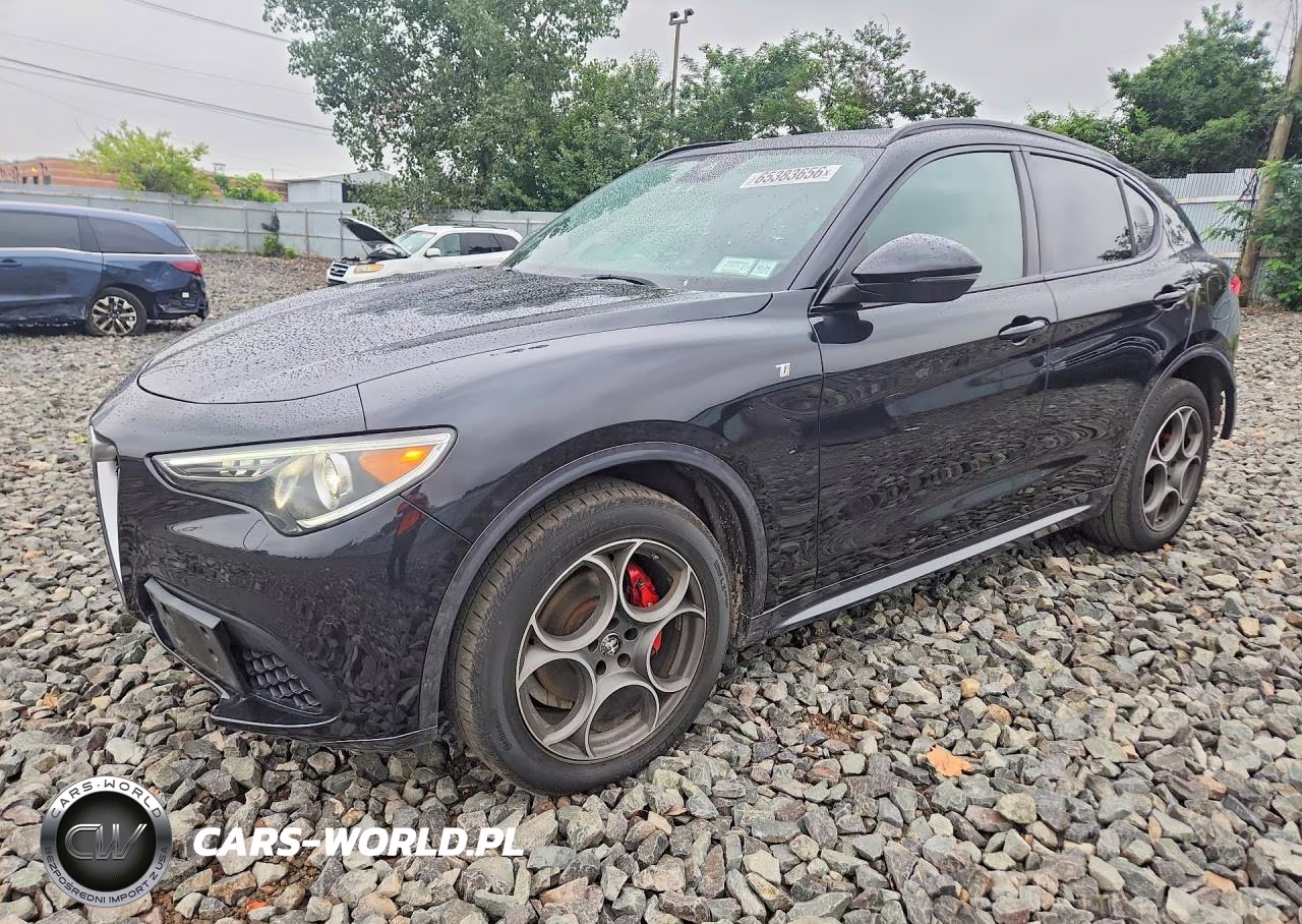 2023 Alfa Romeo Stelvio Ti VIN:ZASPAKBN1P7D56675 - 1
